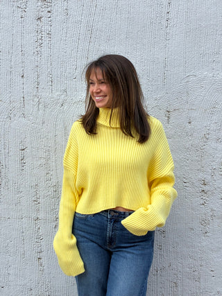 The Honey Kiss Crop Turtleneck