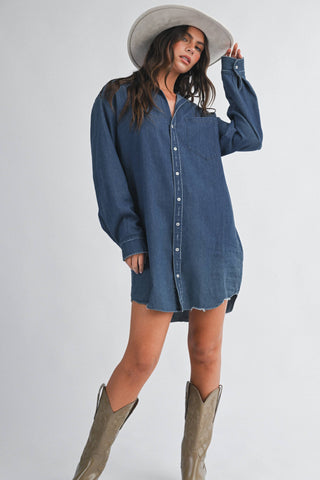 Fallbrook Denim Dress