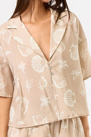 Seaside Sands Shell Print Set