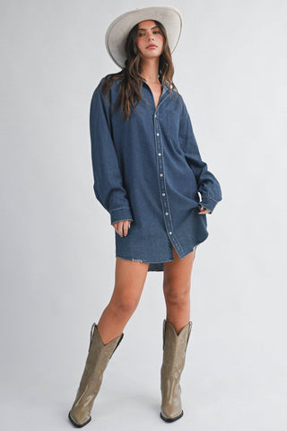 Fallbrook Denim Dress