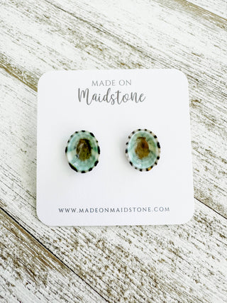 Limpet Shell Stud Earrings