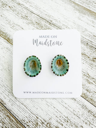 Limpet Shell Stud Earrings