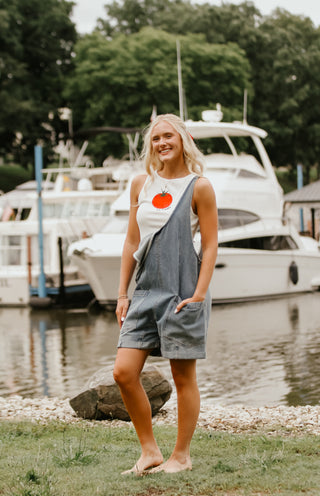 Boardwalk Denim Overalls