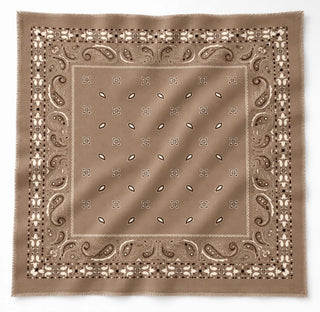 Meadow Paisley Scarf