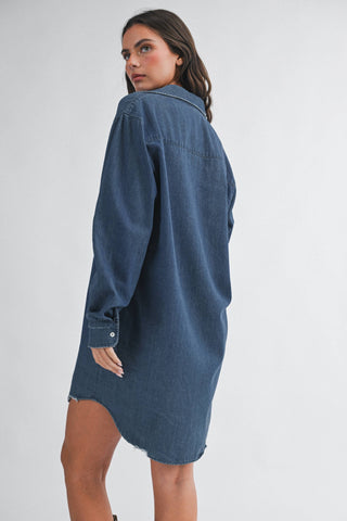 Fallbrook Denim Dress