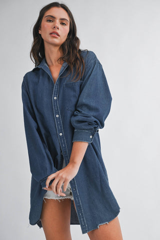 Fallbrook Denim Dress