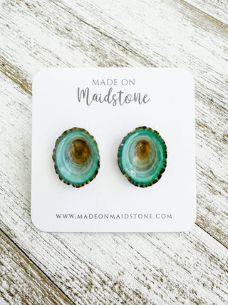 Limpet Shell Stud Earrings