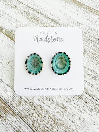 Limpet Shell Stud Earrings