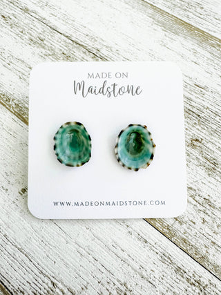 Limpet Shell Stud Earrings
