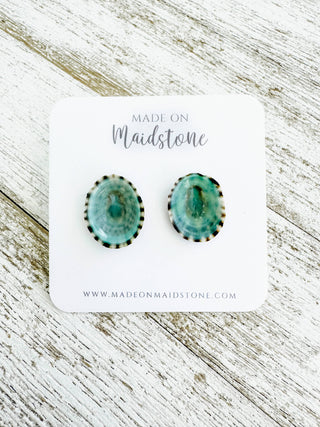 Limpet Shell Stud Earrings